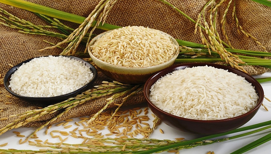 2021 - Une année couronnée de succès pour les exportations de riz